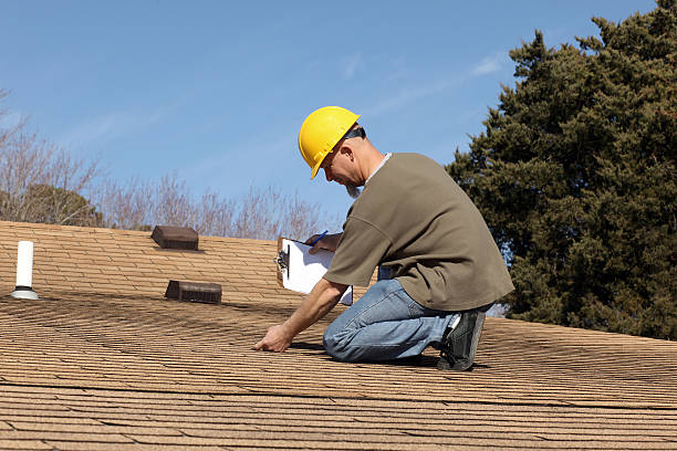Best Roof Moss and Algae Removal  in Whitehouse, OH